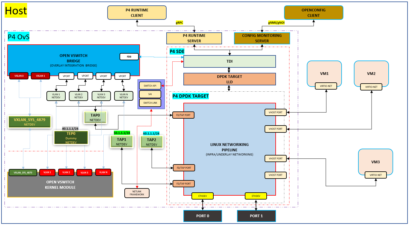 ECMP Toplogy